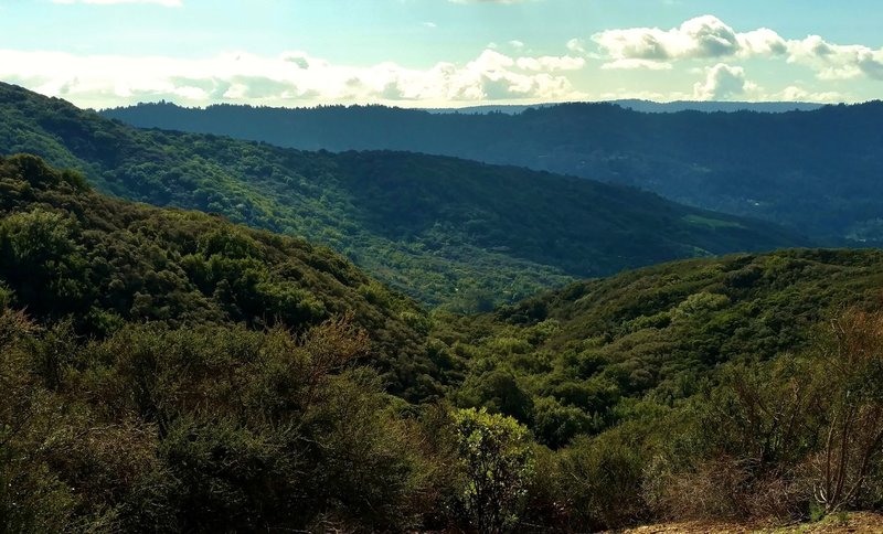 This is the northwest shoulder of Mt. Thayer, with the ridges of the Santa Cruz Mountains behind it. This is looking southeast from Priest Rock Trail.