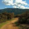 Climbing into the Santa Cruz Mountains on Priest Rock Trail, enjoy this view of Mt. Thayer, the highest point in the distance.