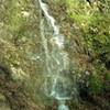 Water cascades along the Limekiln Trail after drenching winter rains.