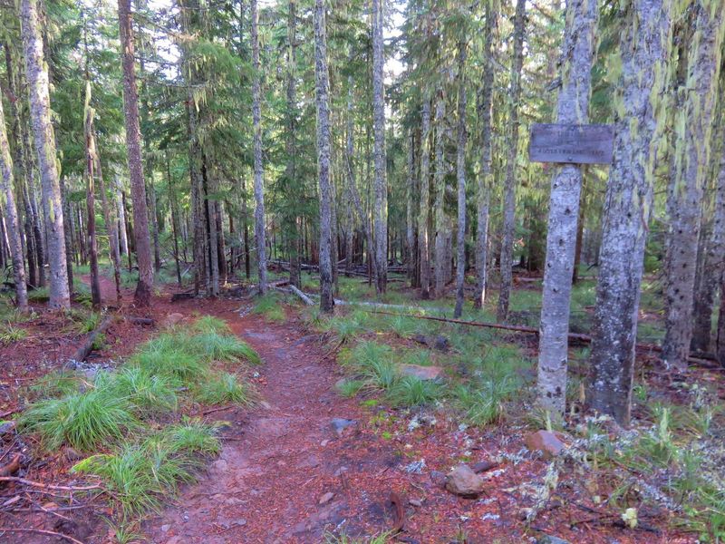 This is the upper junction with the PCT and Twin Lakes Trail. The section that heads down to Upper Twin Lakes is much less crowded and more rugged. dPhoto by Yunkette.