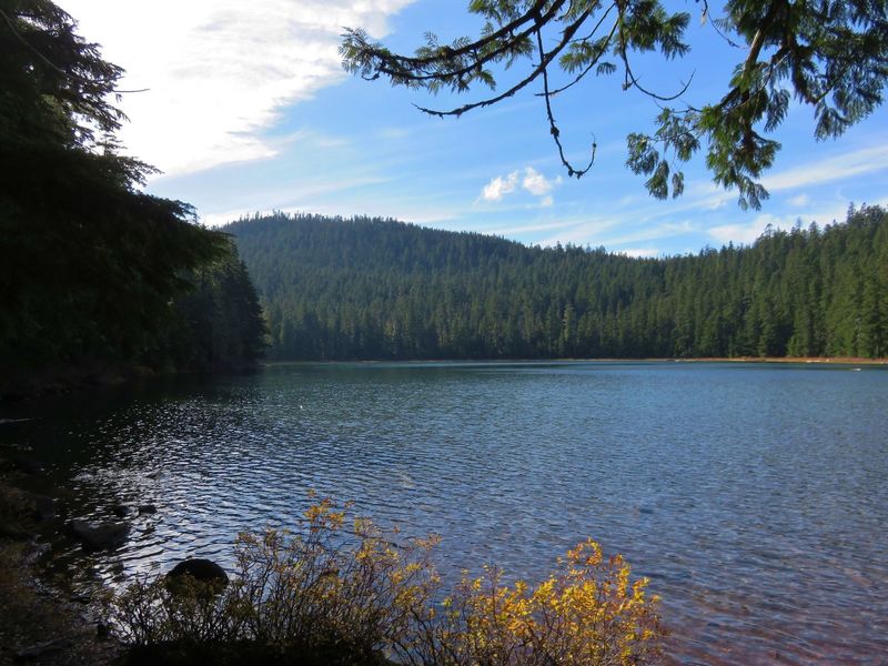 The willows along the shore of Lower Twin Lakes are colorful in fall. Photo by Yunkette.