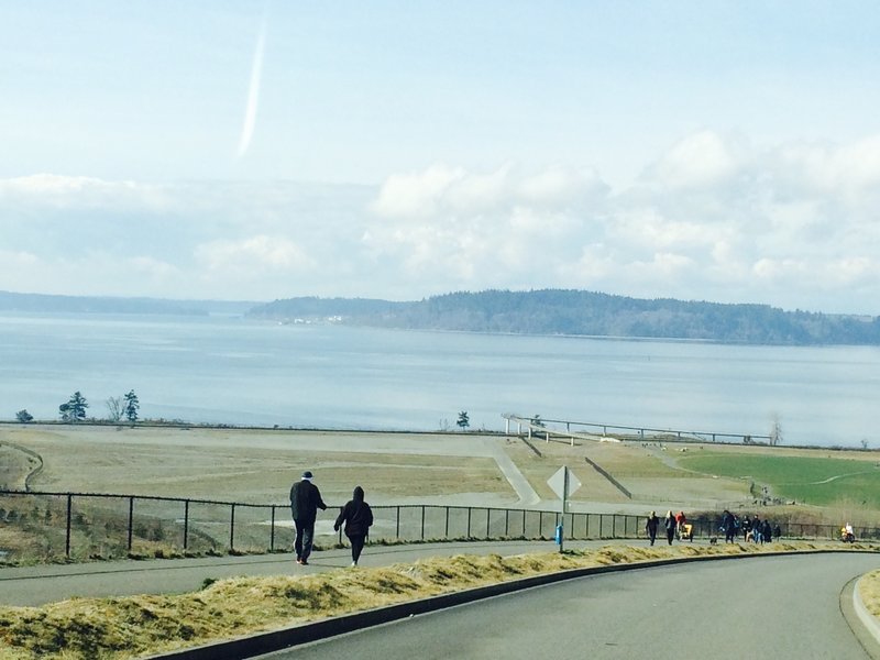 The Soundview Trail follows the road down a steep slope to the meadow below.