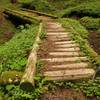 A corduroy-crossing aids your passage through a wet area on the Timberline Trail. Photo by Karl E. Peterson.