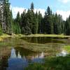 A small pond greets you along the Yokum Ridge Trail at about 5165' elevation. You may see wildlife here. If you're looking to filter water, check out the flowing stream 200' above. Photo by Karl E. Peterson.