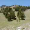 The official Yokum Ridge Trail ends in the meadow at timberline. From here, look back at the namesake ridge for a pleasant view. Photo by Jerry Adams.