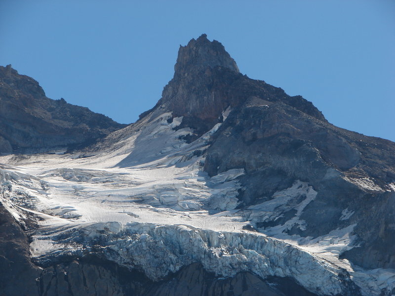 Reid Glacier and Illumination Rock are gorgeous from the Yokum Ridge Trail. Photo by Yunkette.