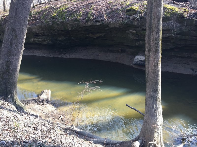 Coffee Creek can be seen undercutting the rocky hillside in some areas along the Sweet Gum Trail.