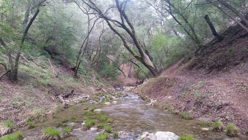 Enjoy numerous river crossings along the Big Falls Trail. This one traverses a beautiful oak grove.