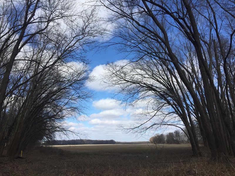 Enjoy pleasant views along the Ridgway Trail.