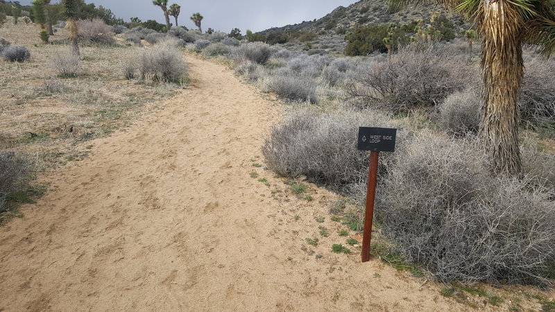 The trails in Black Rock Canyon are all well marked with signs like these.