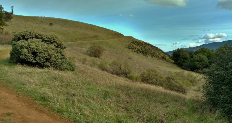 Approaching the summit of Bald Mountain, enjoy rolling hills blanketed in grassy meadows.