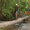 Runners navigate a log crossing of the Left Fork Hobble Creek at about mile 28 of the Squaw Peak 50 Mile Trail Run.