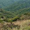 This look is straight down 1,500 ft. into the creek valleys below. Do not fall off the trail....