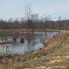 Walking the dams along Massey Trail, enjoy this nice view of the water.