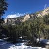 You can get by with normal boots/shoes on the Fletcher Canyon Trail in late February.