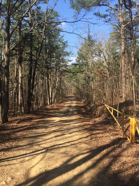 This dirt road leads to the Ward Dam. The gate closes at random times, so you can be trapped if you drive here.