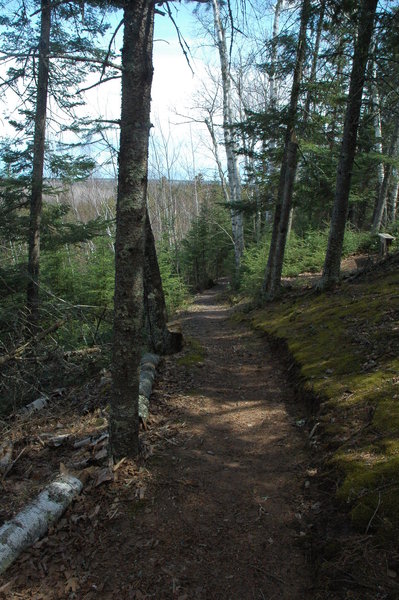 Brule - St. Croix Portage on the North Country Trail offers beautiful views of the surrounding area.