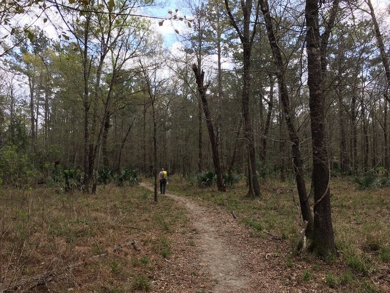 Hiking the Yaupon Trail is always enjoyable with company.