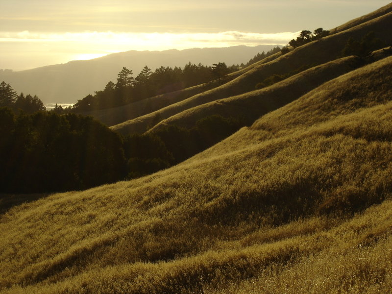 The sun sets over the Pacific Ocean on the Matt Davis Trail.