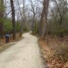 This part of the trail leaves the creek to traverse dense hardwood forests.