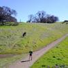 Almaden Quicksilver County Park is lush with green grass near the Randol and Mine Hill intersection.