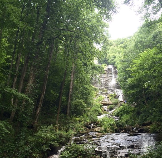 Enjoy phenomenal views of Amicalola Falls from the East Ridge Trail.