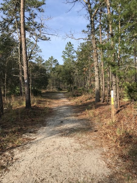 This is a typical section of trail. Some sections are sandy dirt while others are grass-covered.