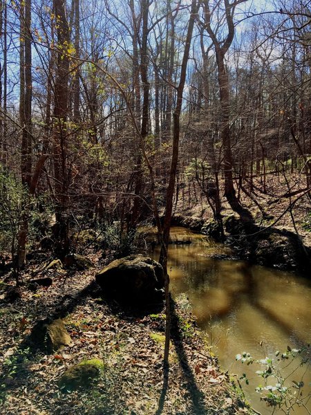 Bolin Creek is often rich with sediment during spring runoff.