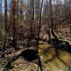 Bolin Creek is often rich with sediment during spring runoff.