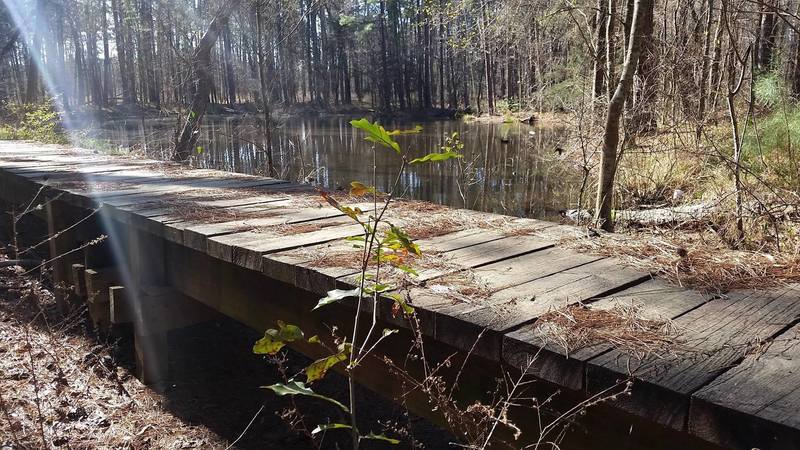 Many bridges on the 4C National Recreation Trail pass small ponds.