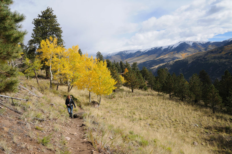 The frequent meadows and aspen groves make the Crystal Lake Trail a scenic hike with great views.