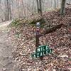 Wild Azalea Trailhead is well marked by this sign.