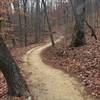 The Prison Camp Trail winds through the forest on beautiful, buff singletrack.