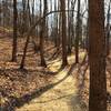 The Prison Camp Trail winds through a winter forest.