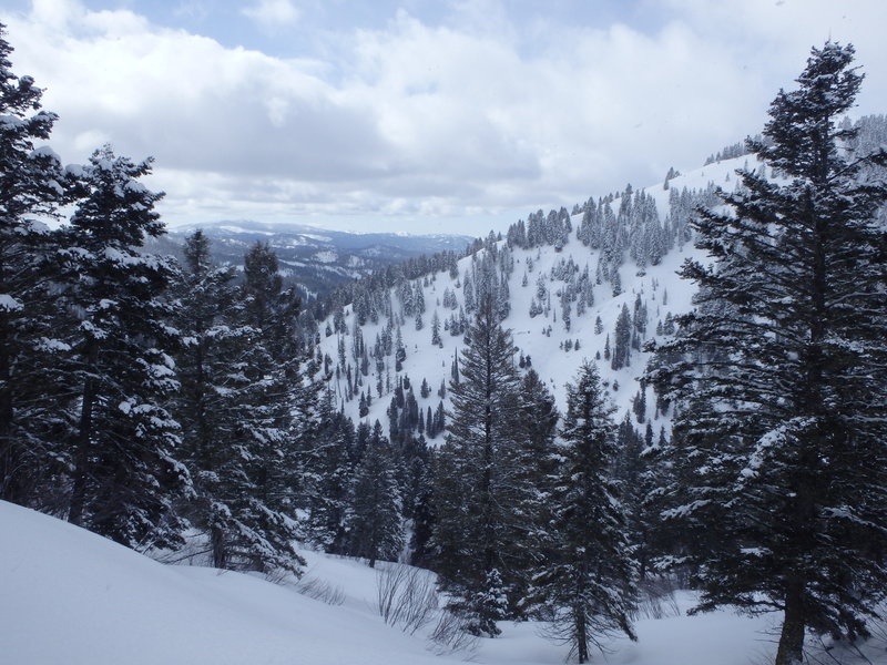 Summit Flat Road can offer gorgeous winter scenery.