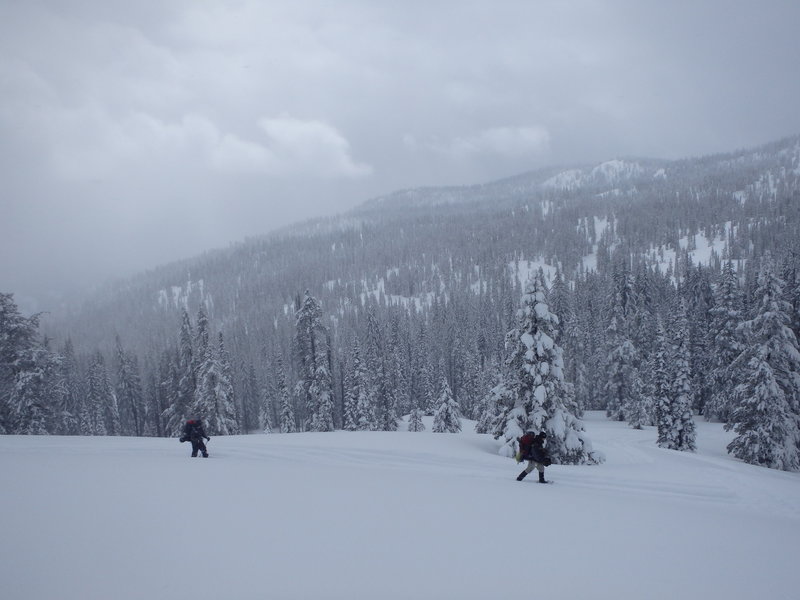 Winter is one of the best times to experience Summit Flat Road.