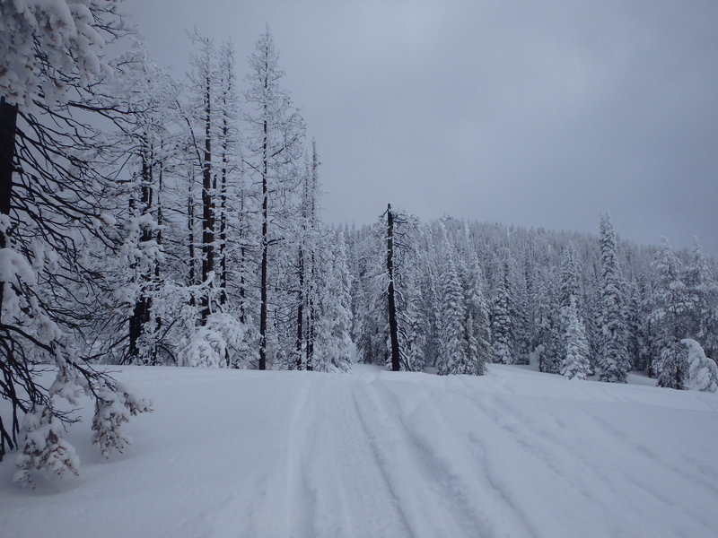 Winter makes the road to Pilot Peak even more beautiful.