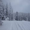 Winter makes the road to Pilot Peak even more beautiful.