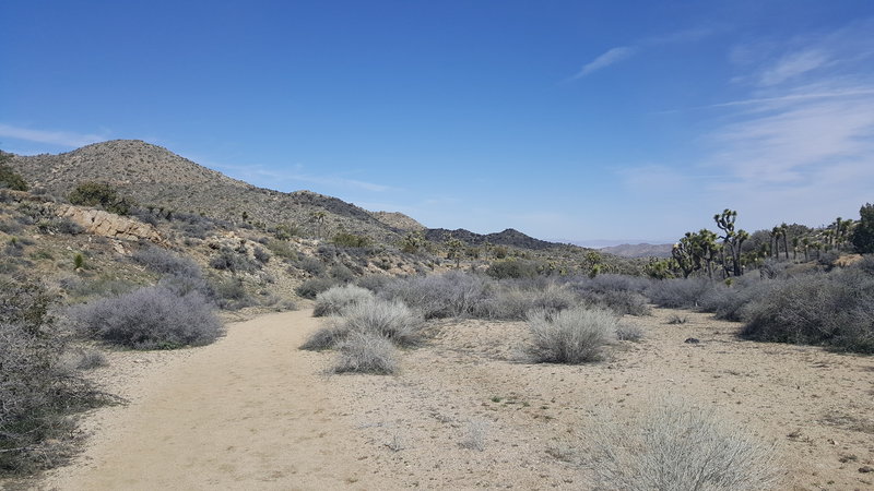 Savor the nice views from the lower portion of the trail.