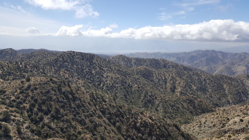 The view from Warren Peak looks out over Palm Springs.