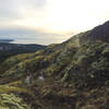 A mossy mountaintop sweetens your view.