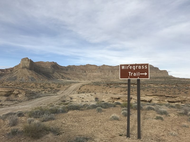 The Wiregrass Trailhead is well marked from the road.