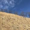 A switchback cuts through a goat prairie on Brady's Bluff Trail.