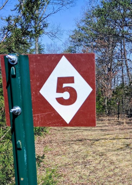 LMNP Trail 5 ends in a junction with Trail 1 near its halfway point.