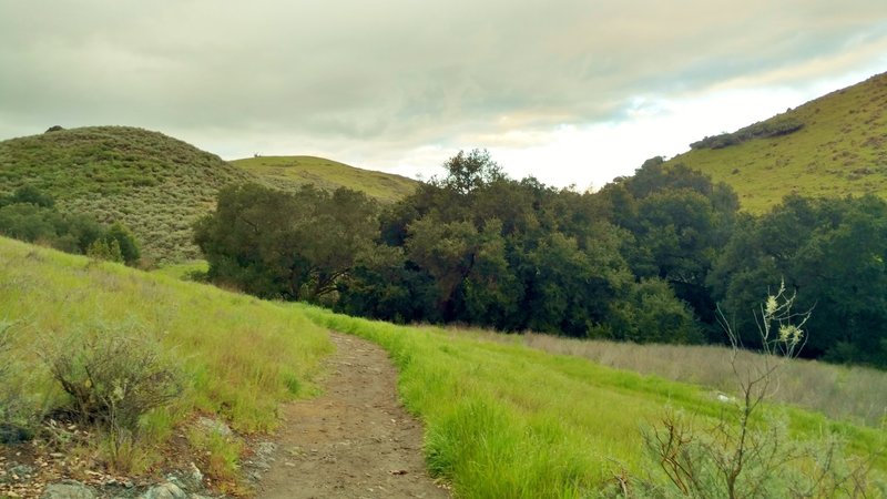 The Fortini Trail travels into the Santa Teresa Hills.