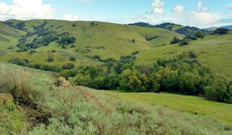 A stream runs through the valley in early March along the Stile Ranch Trail.