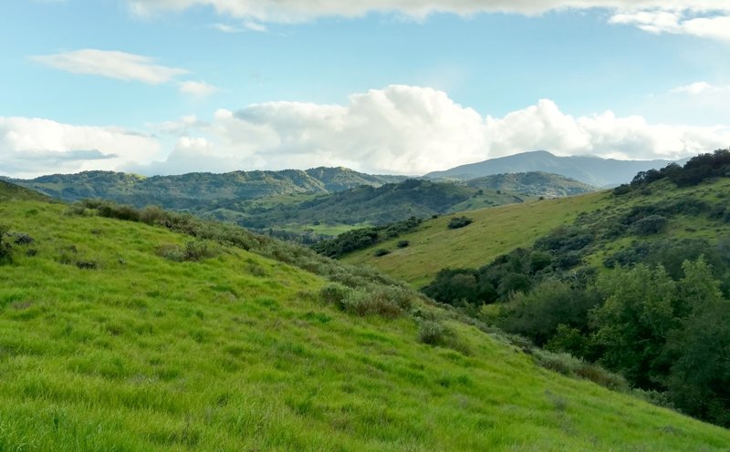 High on the Stile Ranch Trail, look back across the Santa Teresa Hills to the Santa Cruz Mountains in the distance.