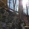 A little winter light shining through the trees at Sugar Creek Bluffs.