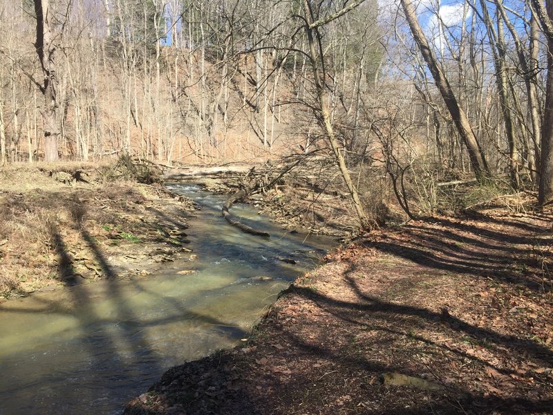 Sagamore Creek is a pleasant companion along the Sagamore Creek Loop Trail.