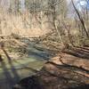 Sagamore Creek is a pleasant companion along the Sagamore Creek Loop Trail.